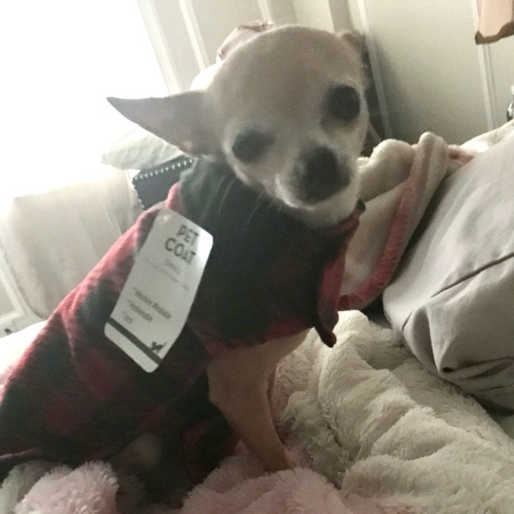 🎉Host Pick🎉 Red & Black Pet Jacket Sz S - Picture 3 of 4